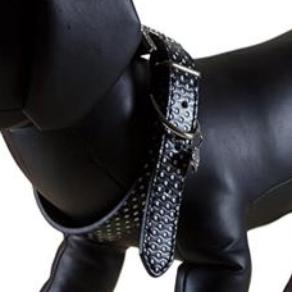 Dog Collar